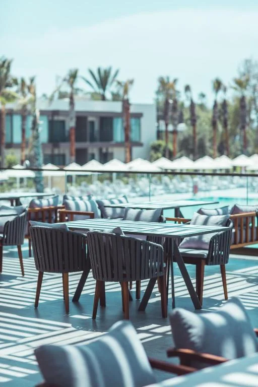 Paloma Orenda - Fotoja 11