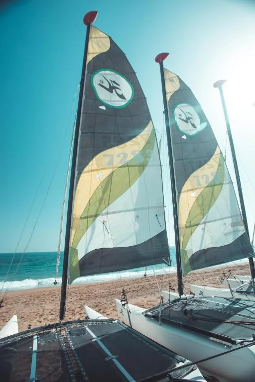 Paloma Orenda - Fotoja 13