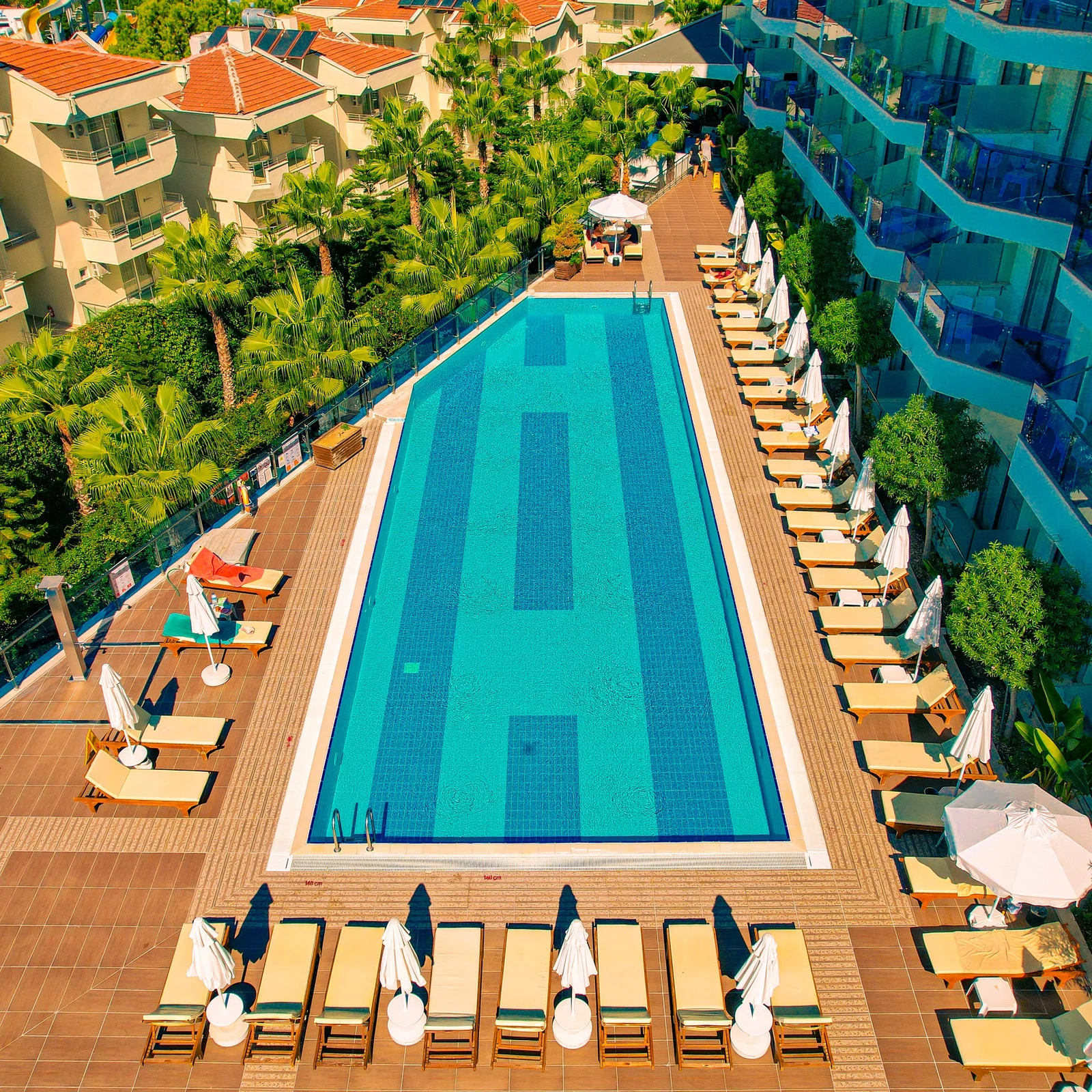 Dream World Hill - Fotoja 6