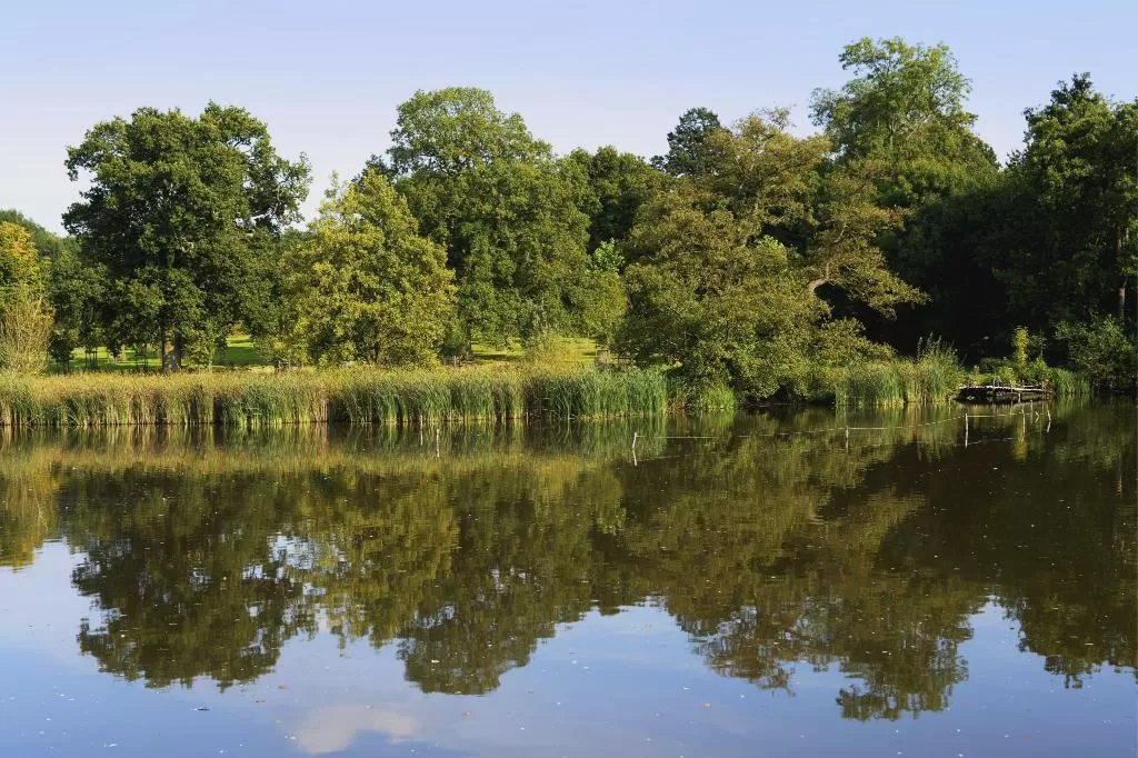 Marvida Family Eco (Renovated in 2024.) - Fotoja 7