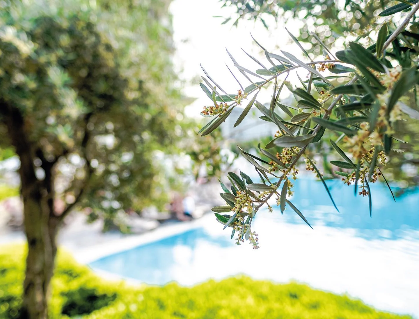 Riolavitas Resort & Spa - Fotoja 3