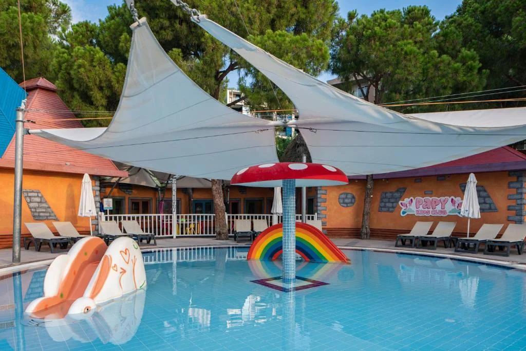 Papillon Ayscha - Fotoja 8