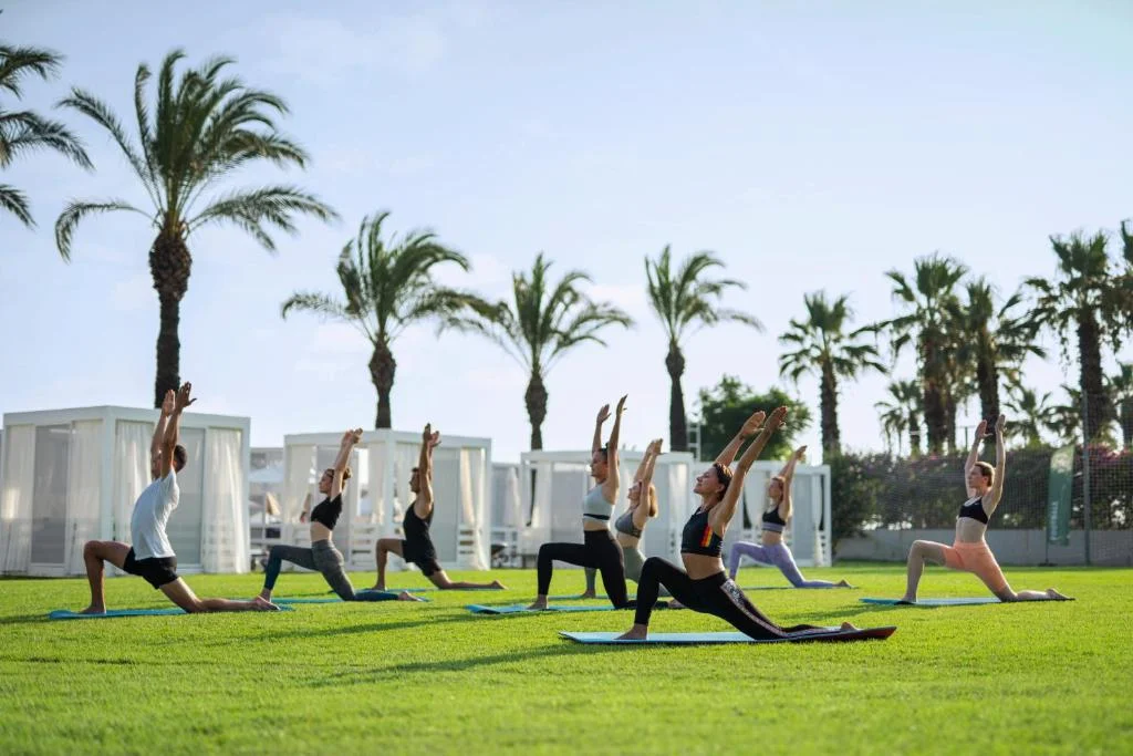 Papillon Ayscha - Fotoja 9