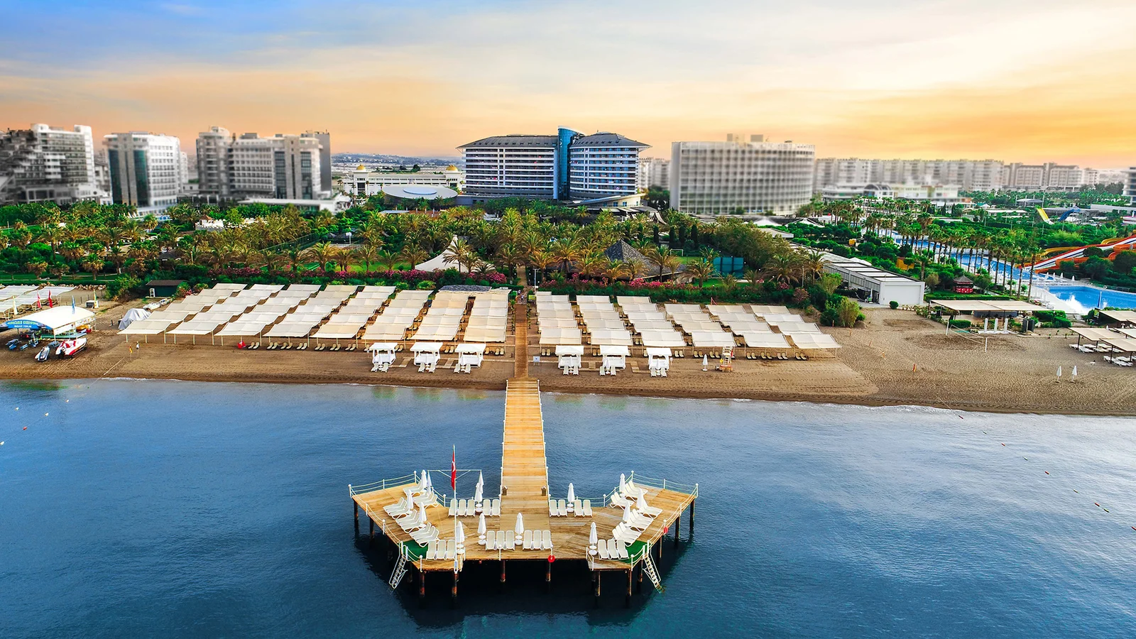 Royal Wings - Fotoja 3