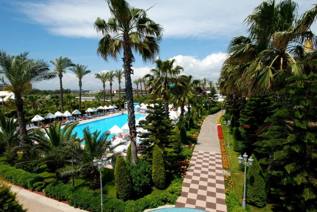 Delphin Diva - Fotoja 4