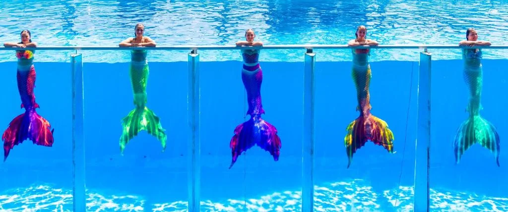 Daima Biz - Fotoja 12