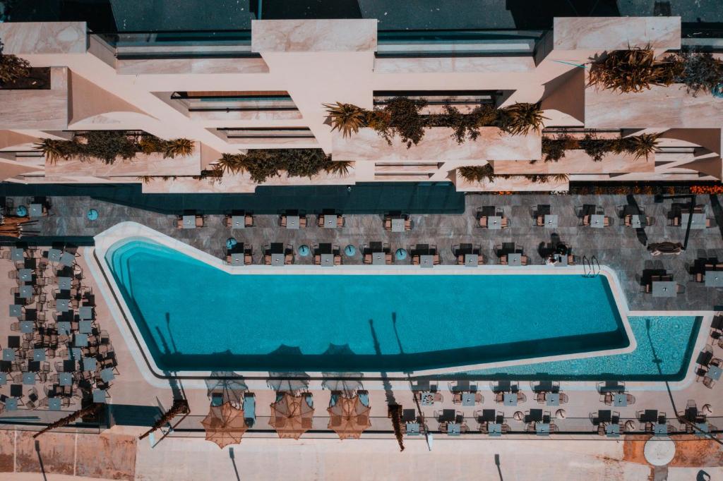 ROYAL G DELUXE - Fotoja 2